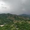 floriargueta23